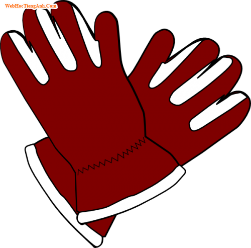 glove 