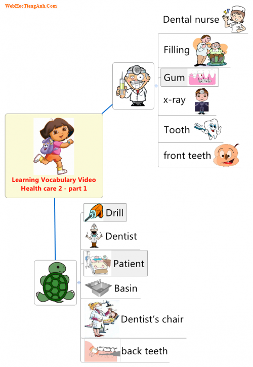 Learning Vocabulary Video: Health care 2